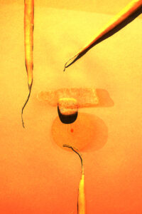 Sunny Afternoon, photographie