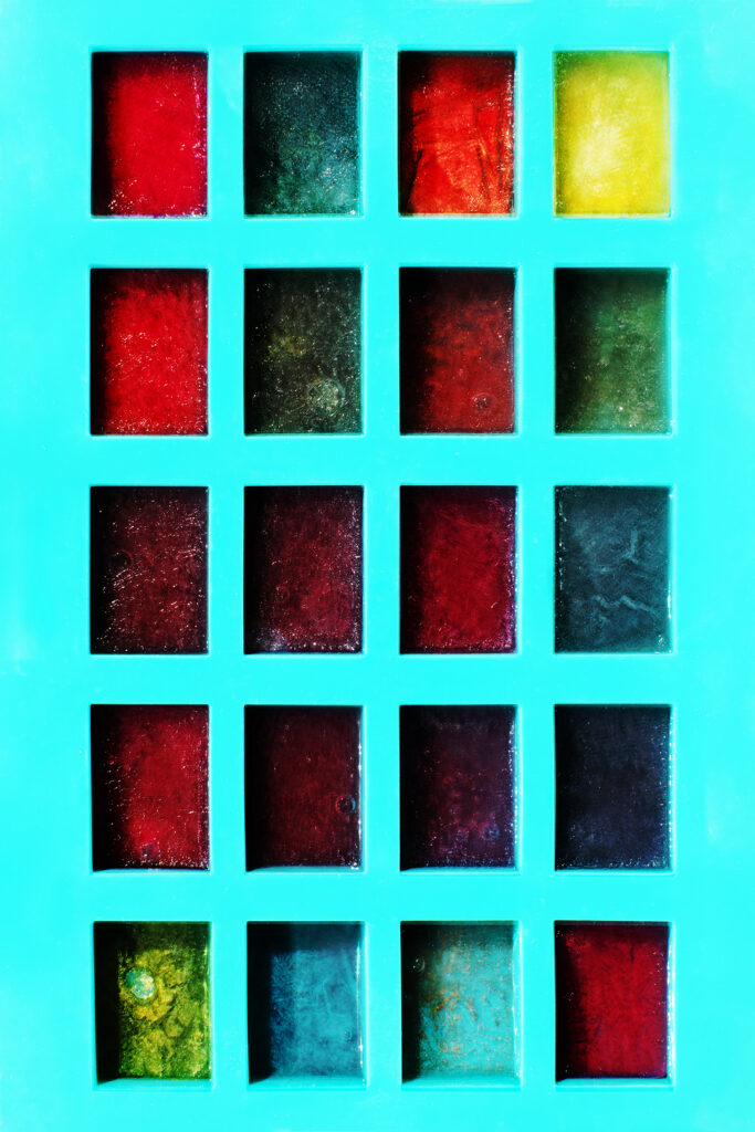 Sunny Afternoon, photographie