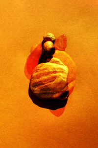 Sunny Afternoon, photographie