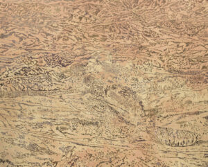 L'oeuvre "For the love of the land", huile sur toile, 162 x 130 cm